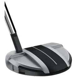 Taylormade Spider GT Rollback Silver/Black Small Slant Putter